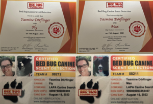 Zertifikate von der Bed Bug Foundation, Yasmine Dörflinger mit den Hunde Fly und Max